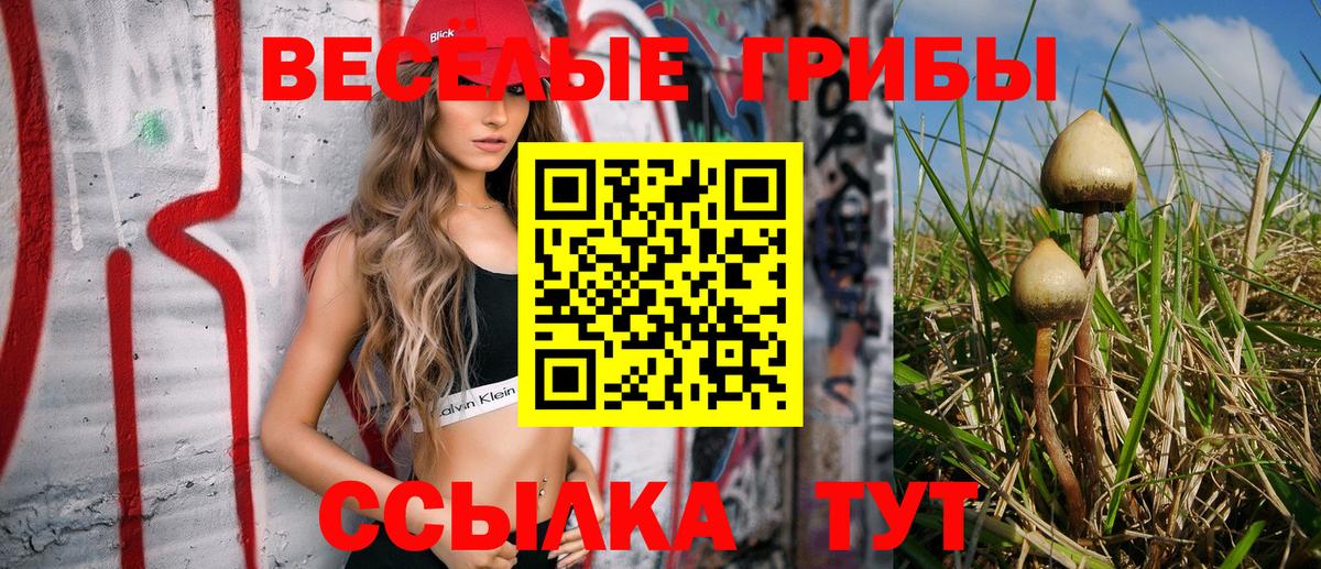 Псилоцибиновые грибы мухоморы Ессентуки