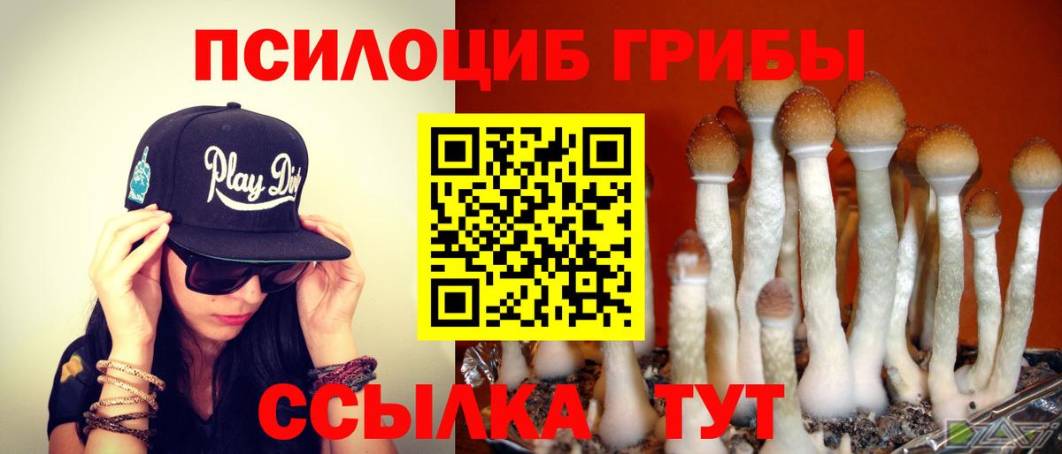 Ессентуки  Галлюциногенные грибы Magic Shrooms  Вход с VPN  Псилоцибиновые грибы Cubensis 